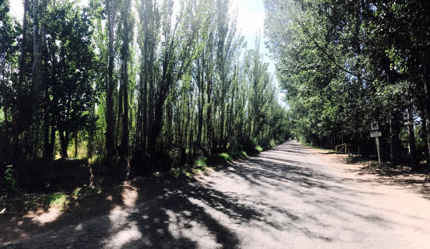 ¡Inversion Estrategica en San Rafael! Finca de 8 Hectareas sobre Ruta al Cañon del Atuel