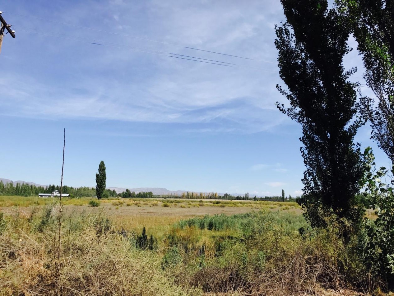 ¡Inversion Estrategica en San Rafael! Finca de 8 Hectareas sobre Ruta al Cañon del Atuel