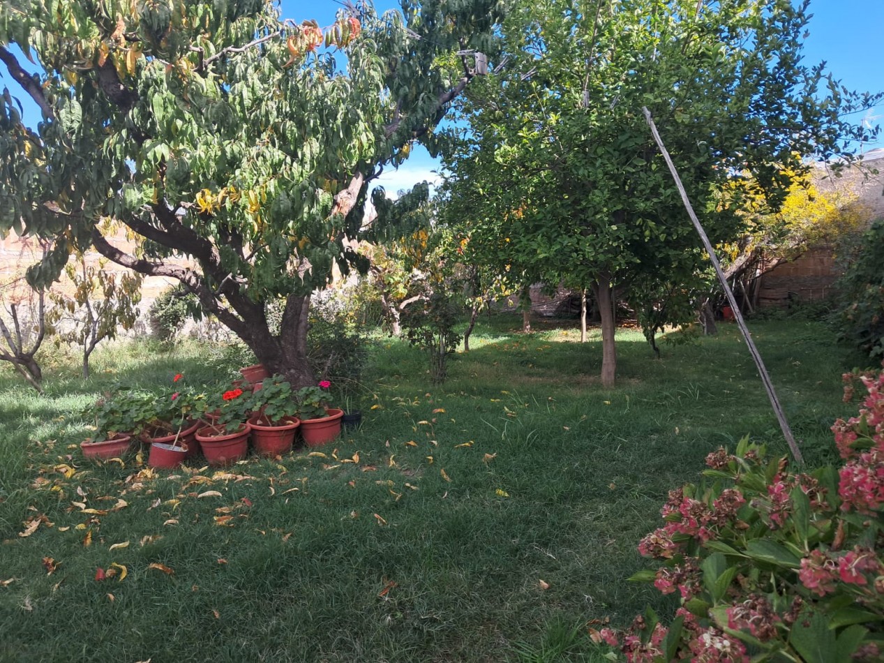 Casa en alquiler - 3 dormitorios | Amplio parque | Seguridad completa