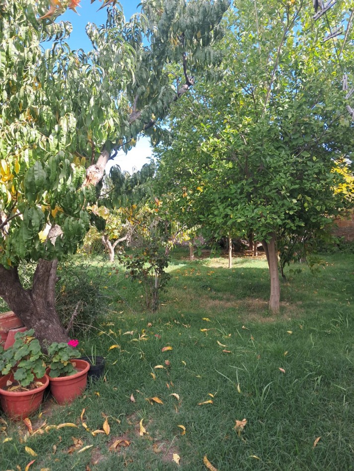 CASA EN VENTA | 3 DORMITORIOS | AMPLIO PARQUE