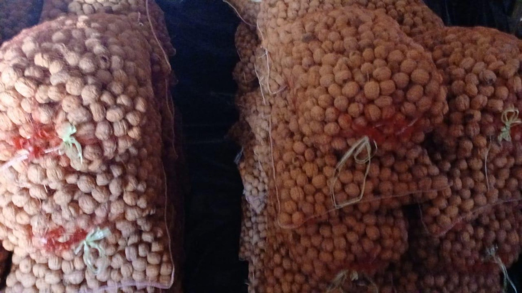 Inversion Agricola | Finca de 12 ha con Nogales Chandler en Produccion