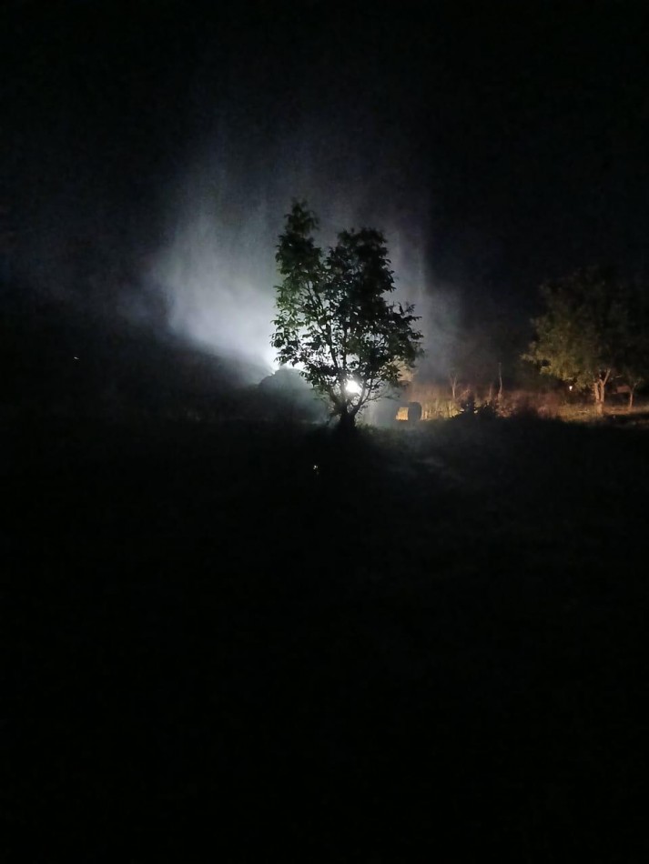 Inversion Agricola | Finca de 12 ha con Nogales Chandler en Produccion