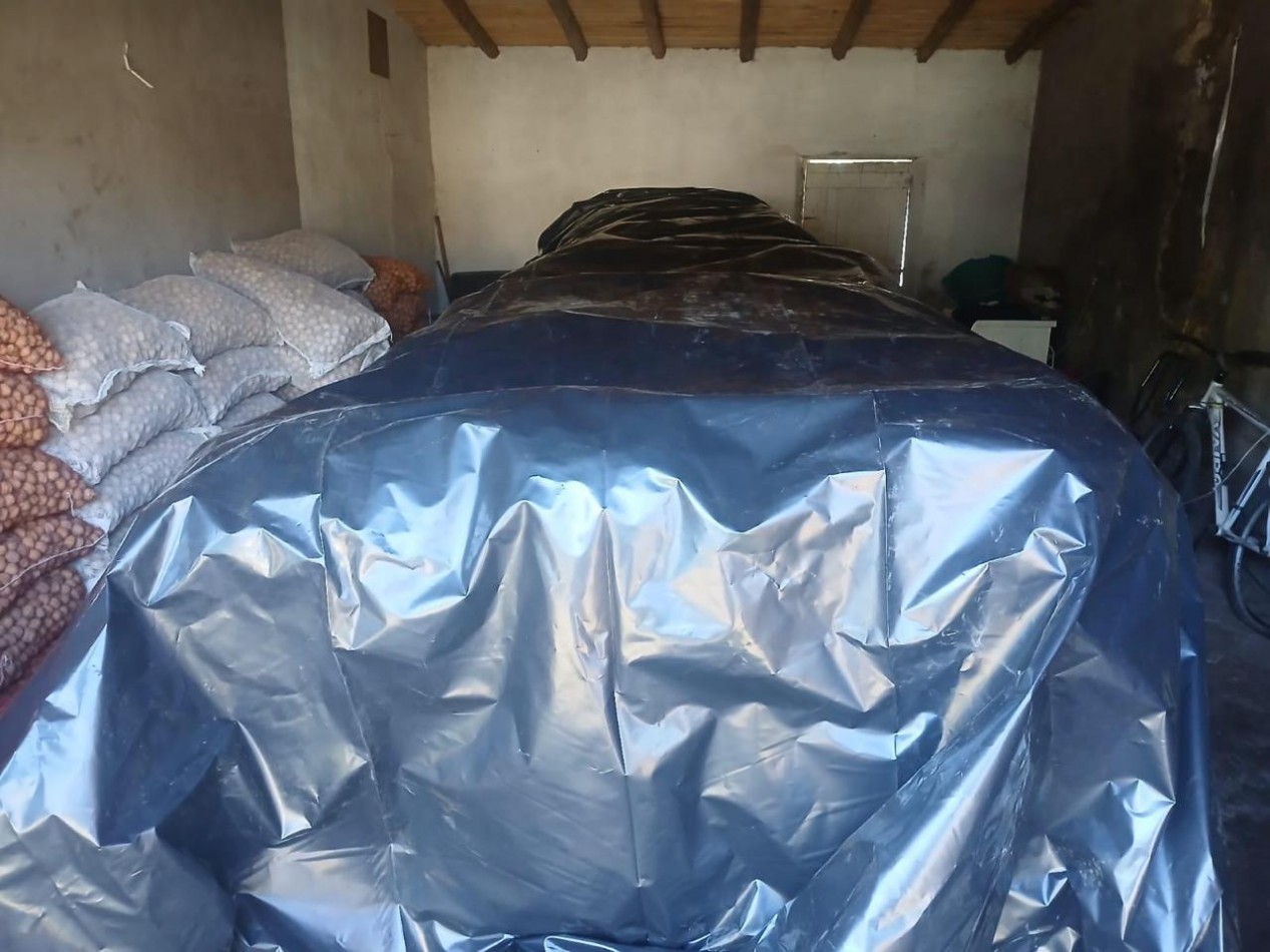 Inversion Agricola | Finca de 12 ha con Nogales Chandler en Produccion