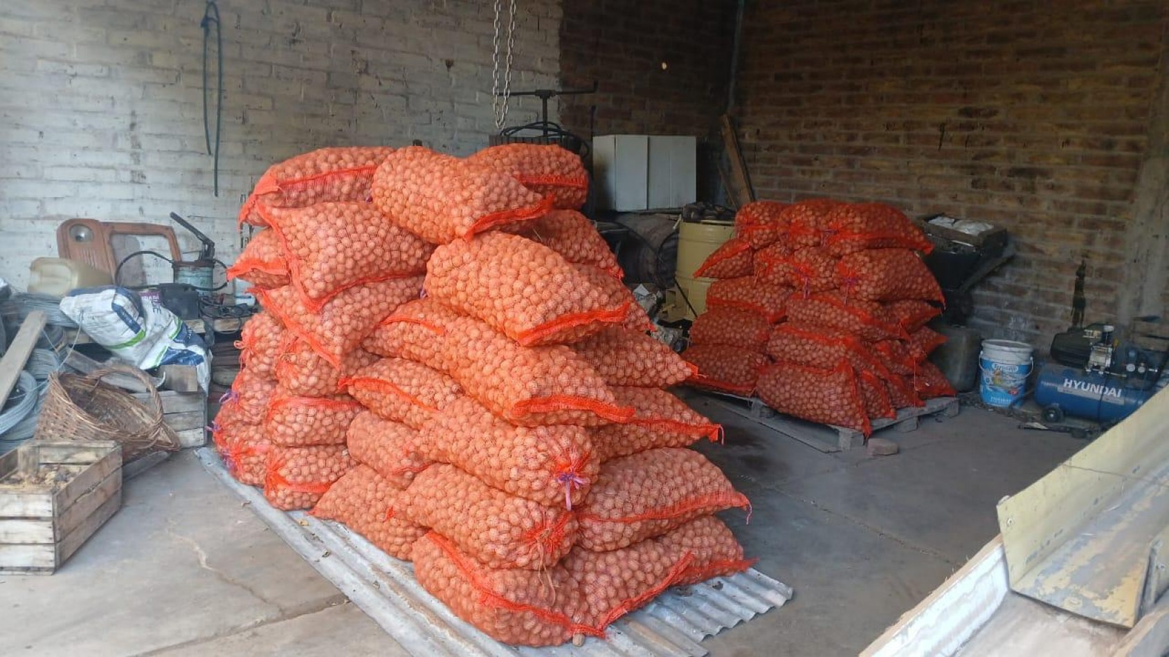 Inversion Agricola | Finca de 12 ha con Nogales Chandler en Produccion