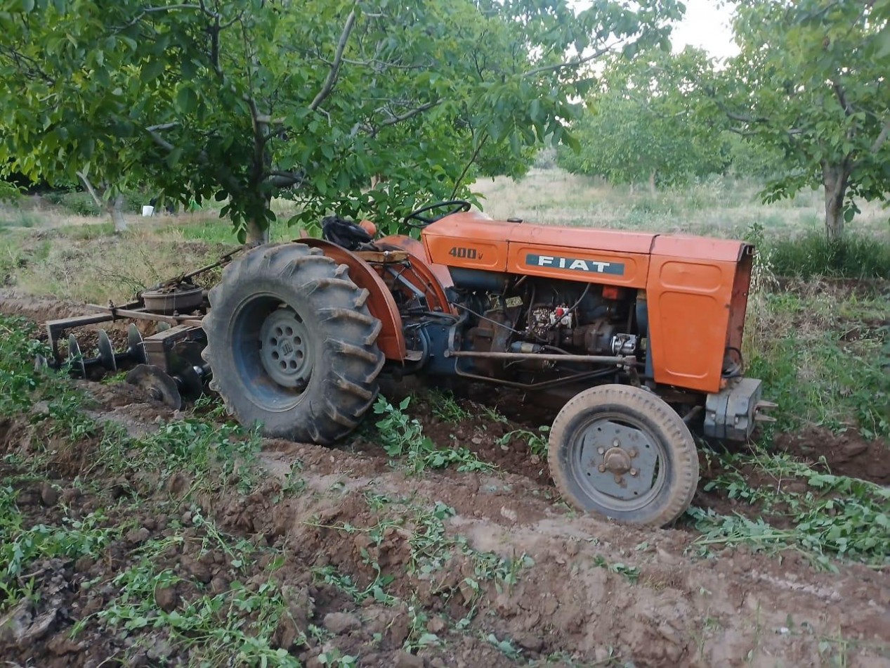 Inversion Agricola | Finca de 12 ha con Nogales Chandler en Produccion
