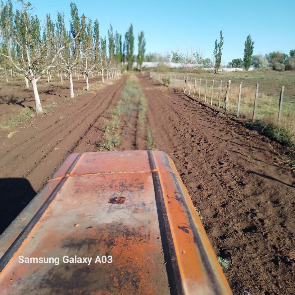 Inversion Agricola | Finca de 12 ha con Nogales Chandler en Produccion