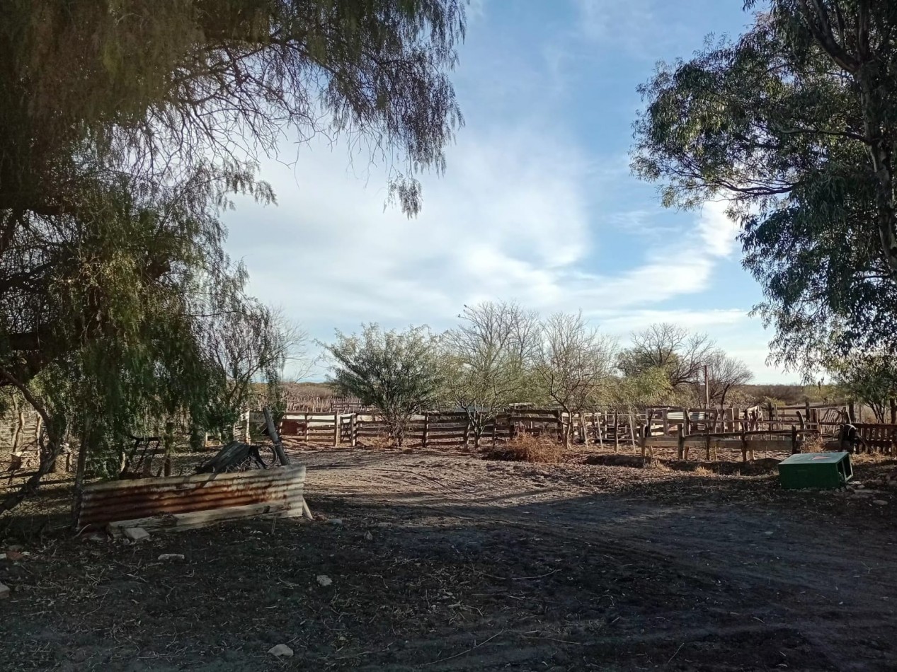 CAMPO GANADERO 3.400 HAS | SAN RAFAEL | MENDOZA | POTENCIAL PRODUCTIVO