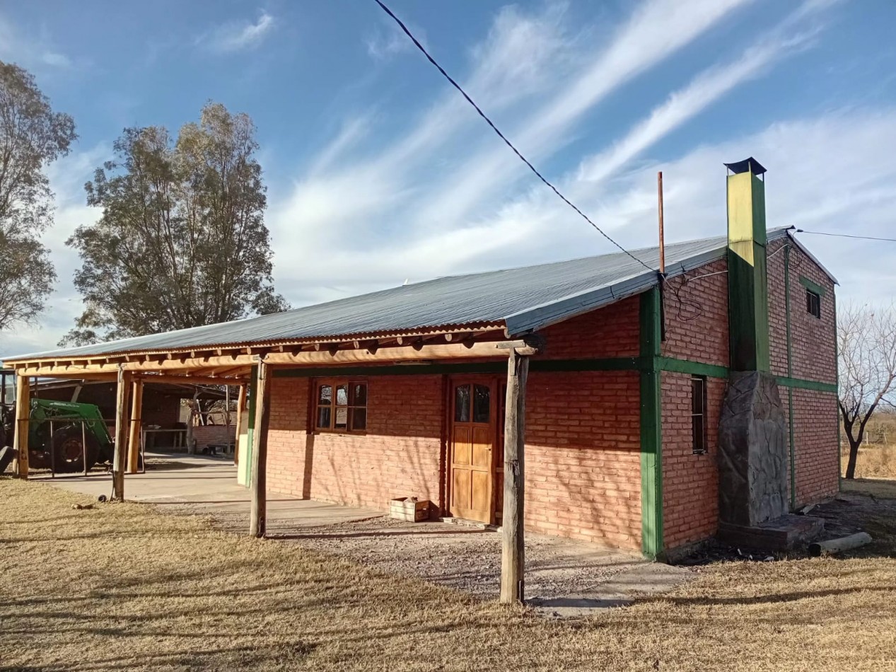 CAMPO GANADERO 3.400 HAS | SAN RAFAEL | MENDOZA | POTENCIAL PRODUCTIVO