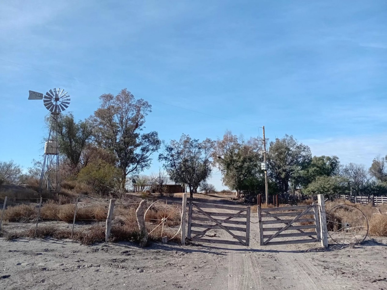 CAMPO GANADERO 3.400 HAS | SAN RAFAEL | MENDOZA | POTENCIAL PRODUCTIVO