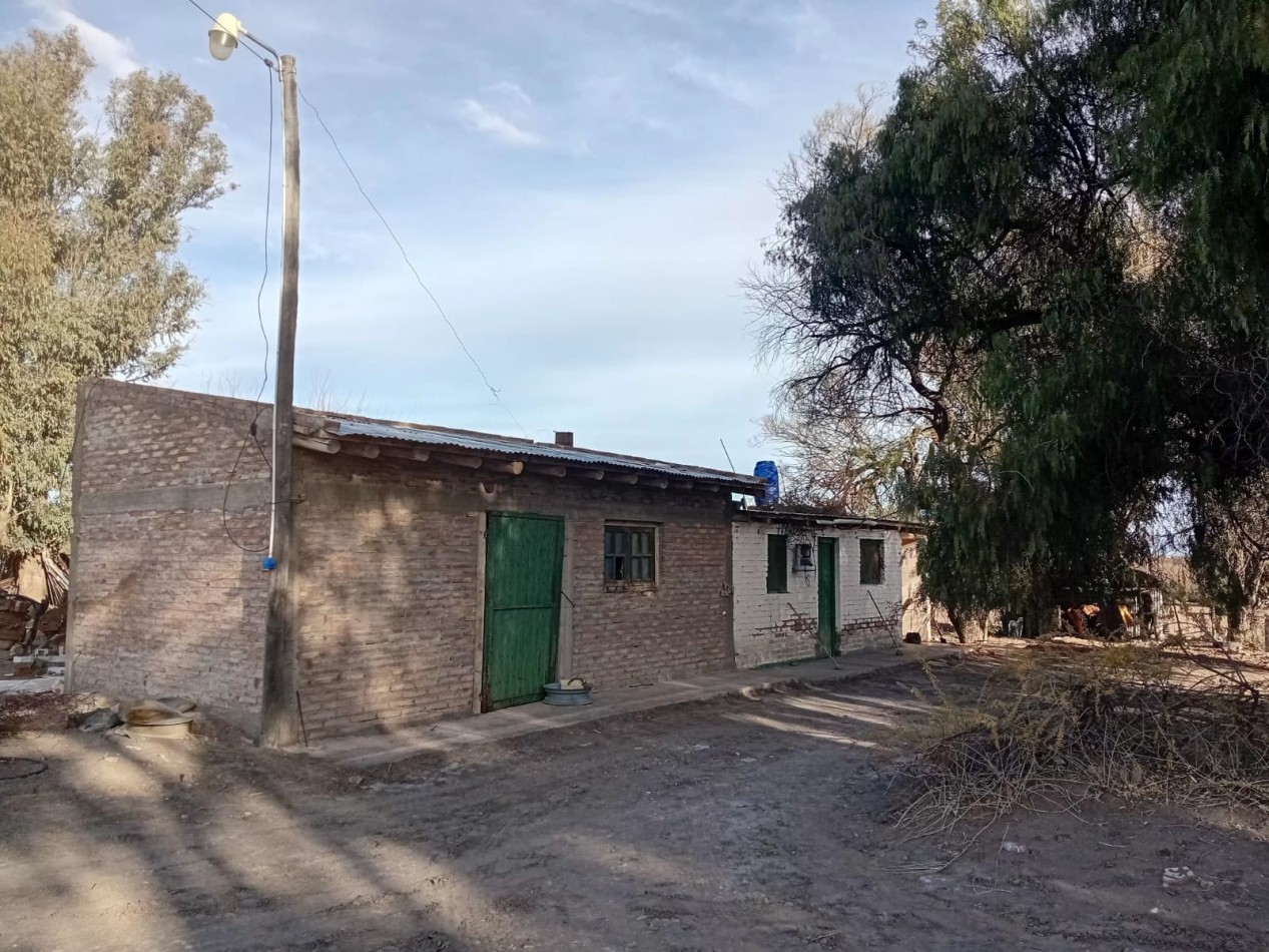 CAMPO GANADERO 3.400 HAS | SAN RAFAEL | MENDOZA | POTENCIAL PRODUCTIVO