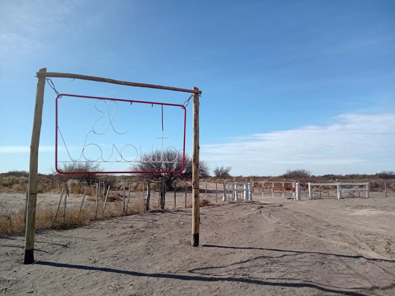 CAMPO GANADERO 3.400 HAS | SAN RAFAEL | MENDOZA | POTENCIAL PRODUCTIVO