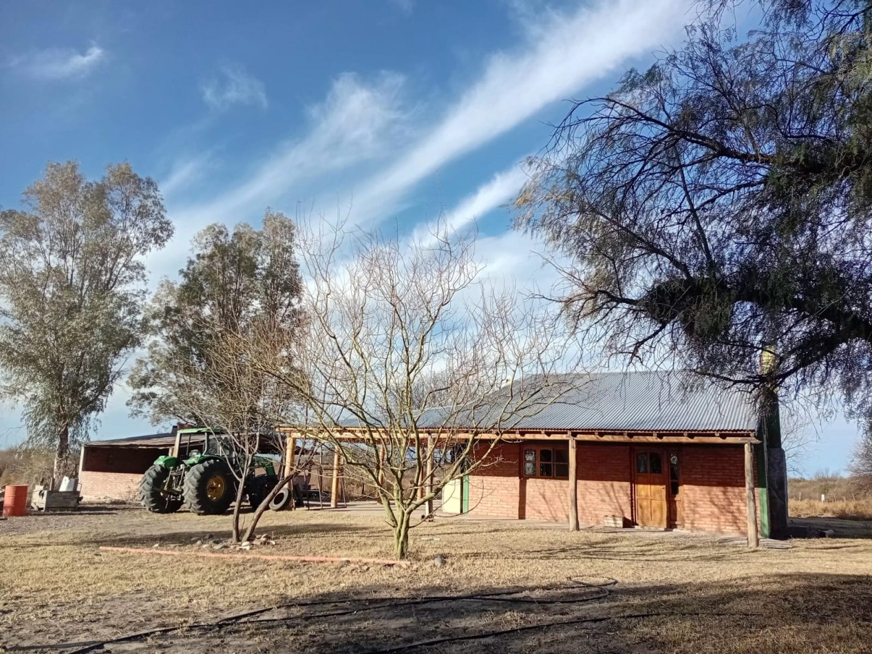 CAMPO GANADERO 3.400 HAS | SAN RAFAEL | MENDOZA | POTENCIAL PRODUCTIVO
