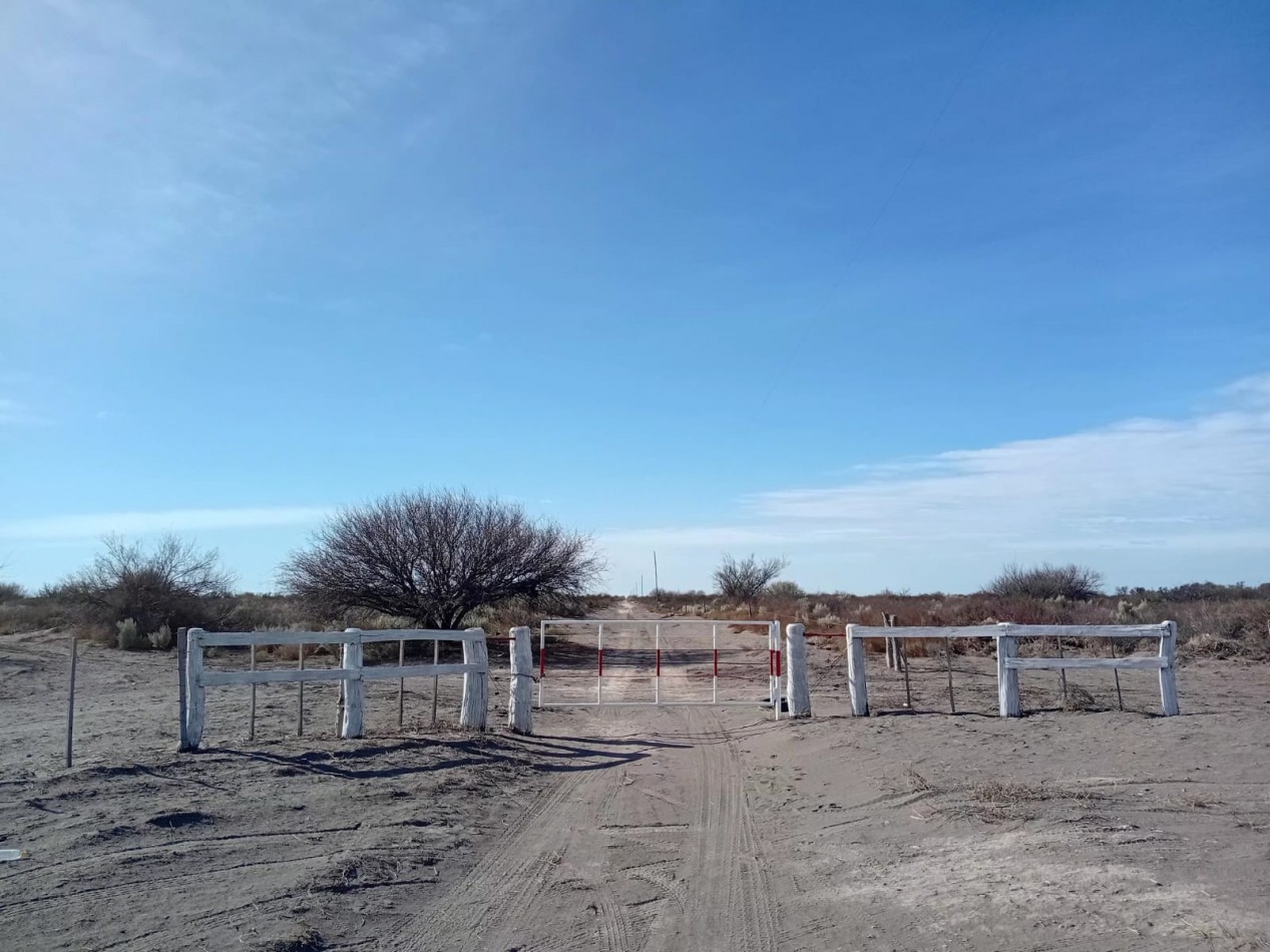 CAMPO GANADERO 3.400 HAS | SAN RAFAEL | MENDOZA | POTENCIAL PRODUCTIVO