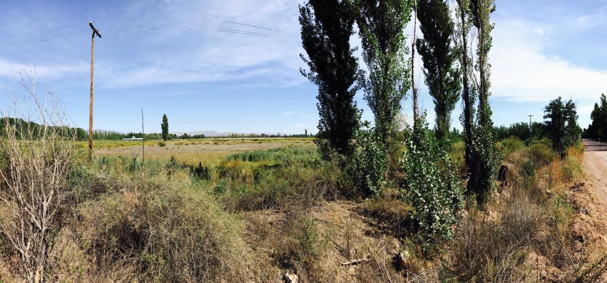 8 HECTAREAS EN RAMA CAIDA | FRENTE A RUTA 175 | USD 80.000