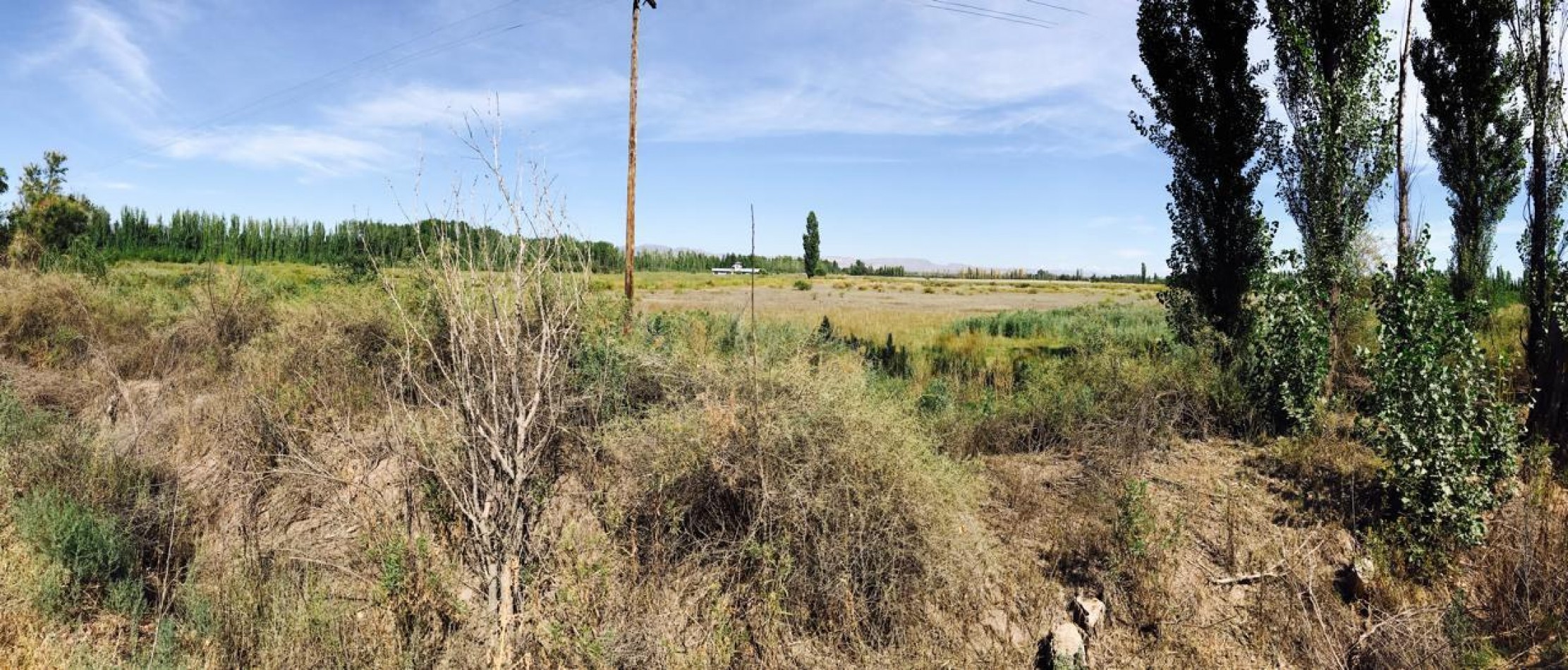 8 HECTAREAS EN RAMA CAIDA | FRENTE A RUTA 175 | USD 80.000