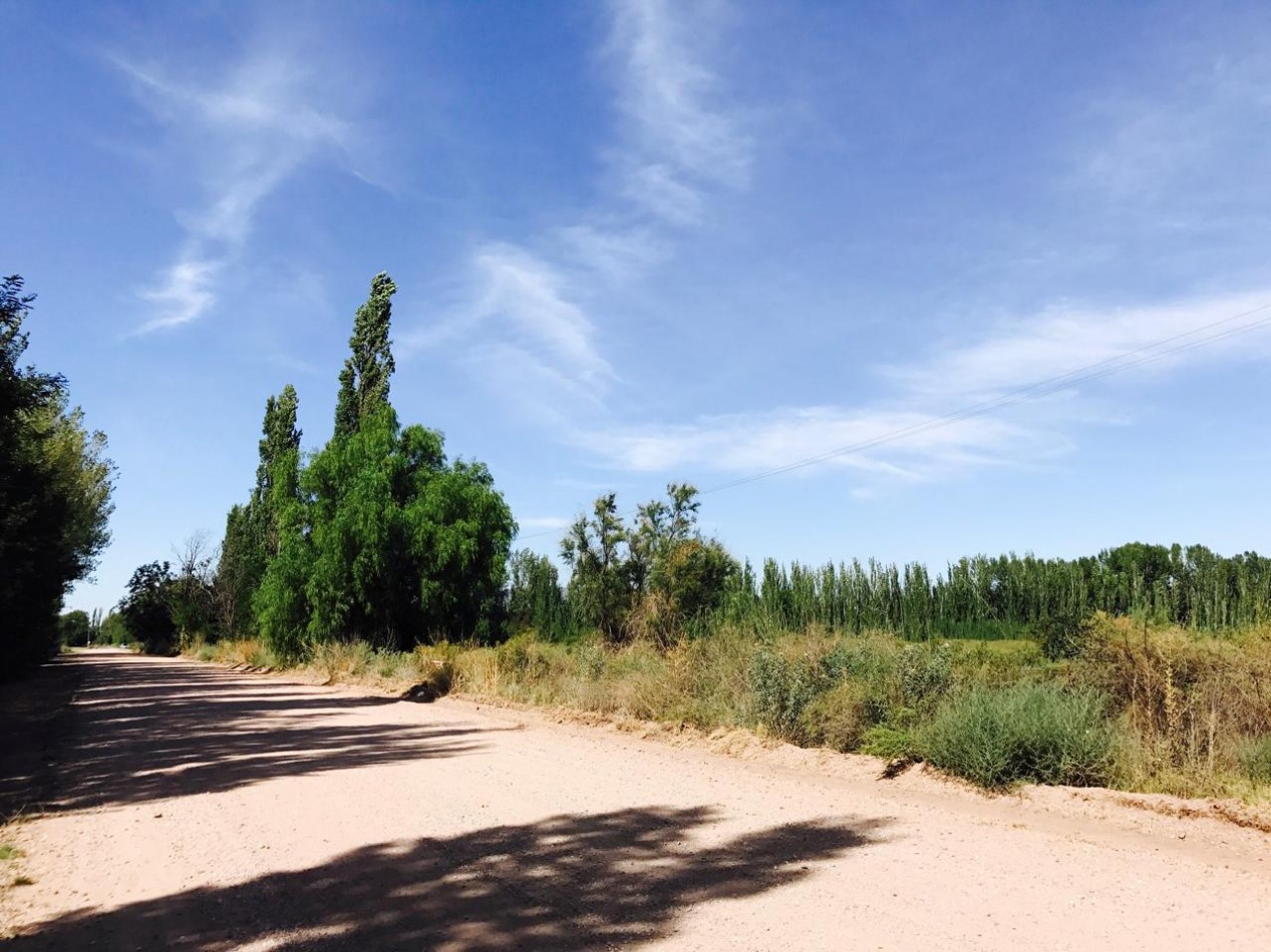 8 HECTAREAS EN RAMA CAIDA | FRENTE A RUTA 175 | USD 80.000