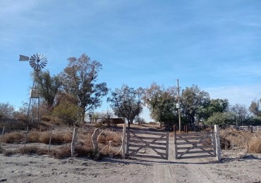 CAMPO GANADERO 3.400 HAS | SAN RAFAEL | MENDOZA | POTENCIAL PRODUCTIVO
